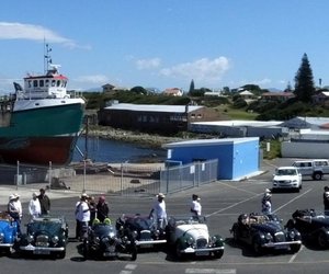 Morgans Skitter in Gansbaai